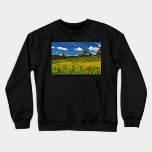 Rocky Mountains NP Crewneck Sweatshirt